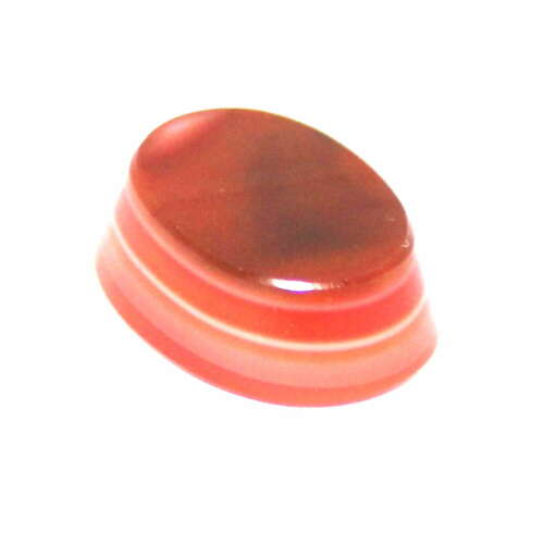 SARDOINE