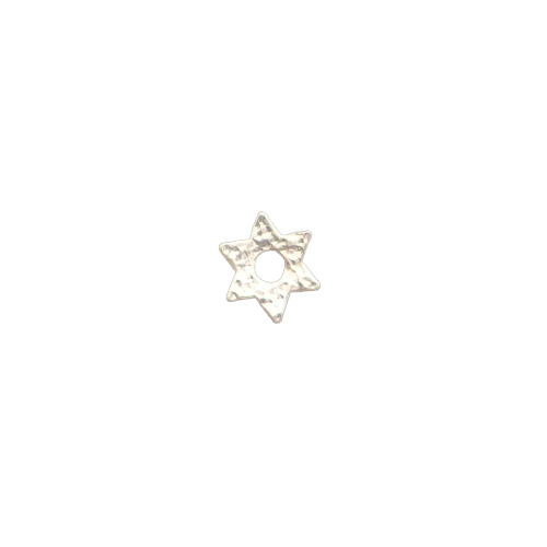 Pendentif Magen David